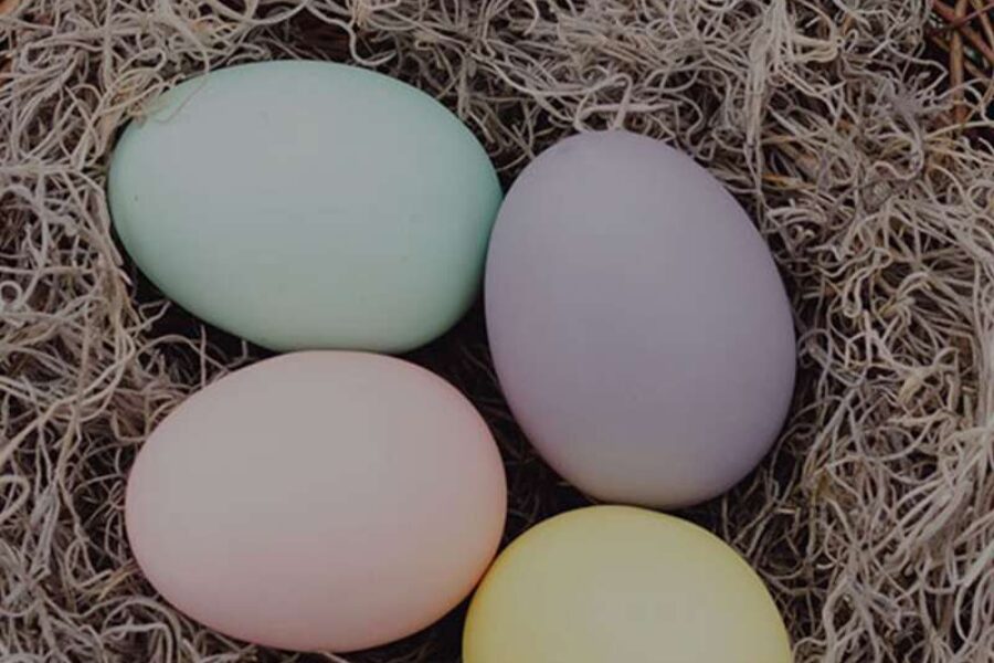 Easter Brunch