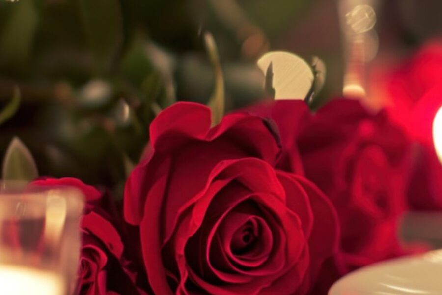 Valentine’s Day Dinner – A Romantic Culinary Experience at Hales Mills